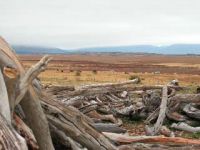 el_calafate-001