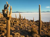 uyuni-010