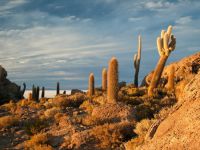 uyuni-013