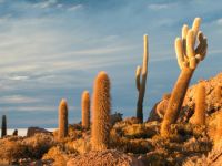 uyuni-014