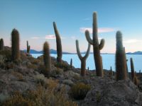 uyuni-017