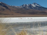 uyuni-044