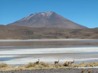 uyuni-046