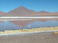 uyuni-057