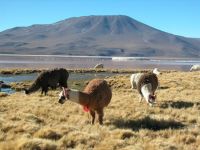 uyuni-058