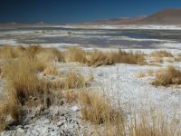 uyuni-077