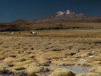 uyuni-102