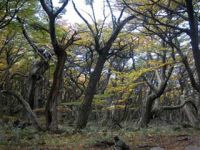 torres_del_paine-008