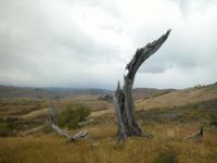 torres_del_paine-33