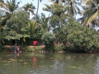 backwaters-003