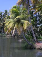 backwaters-005