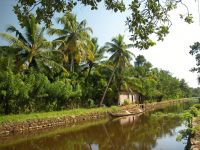 backwaters-011