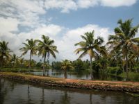 backwaters-015