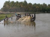 backwaters-029