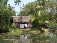 backwaters-119