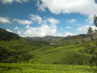 munnar-022