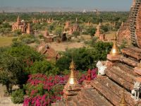 bagan-019