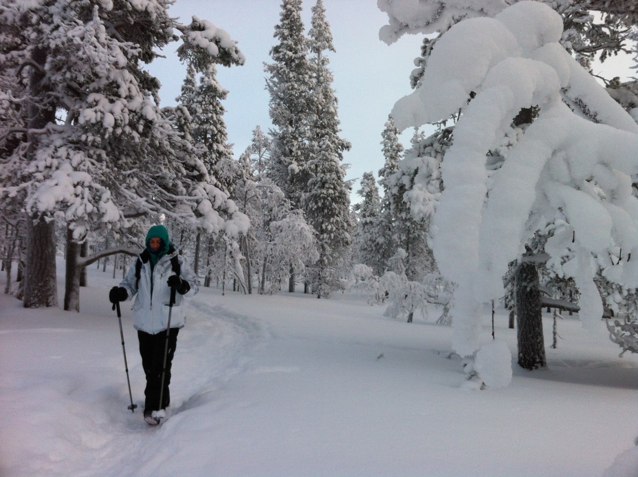 Balade dans le parc national de Urho Kekkonen en Laponie