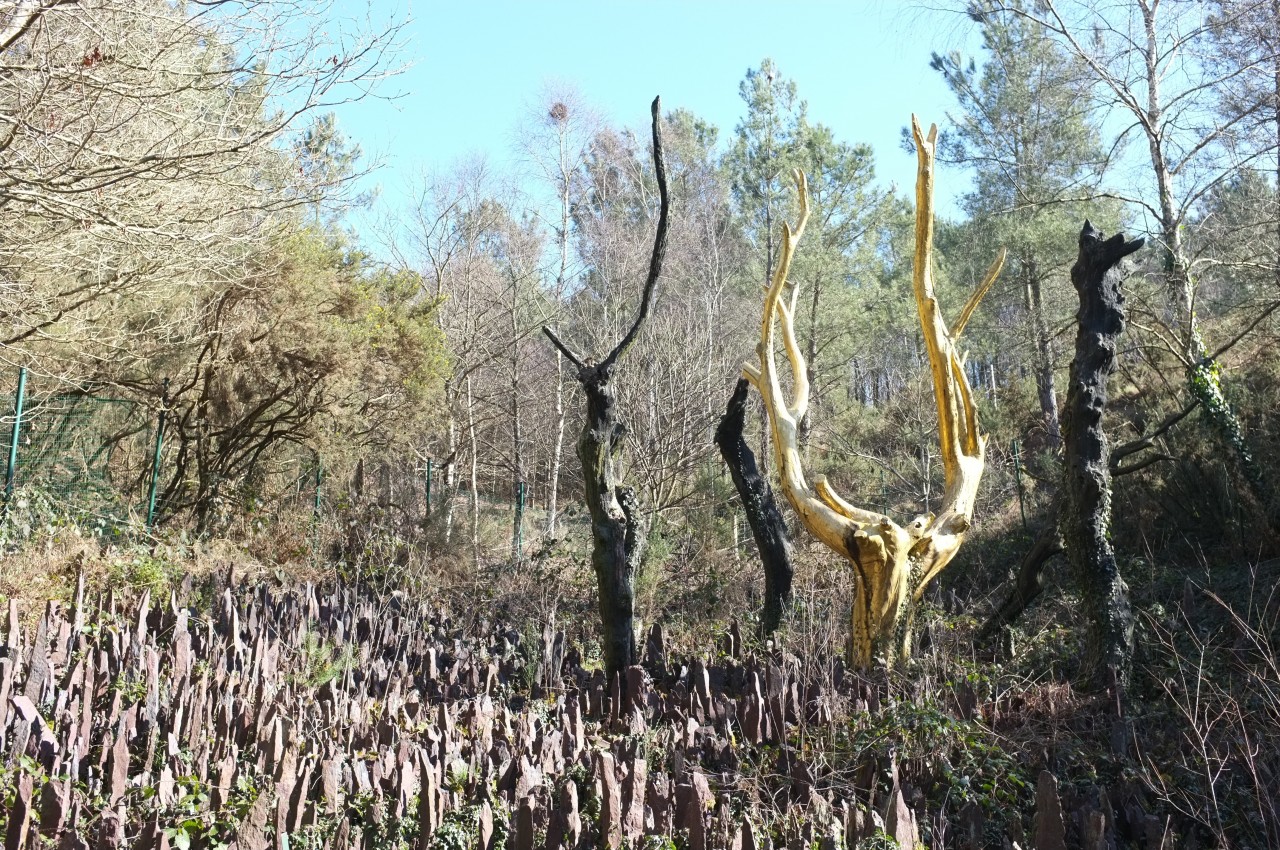 Balade contée en pays de Brocéliande (Val sans retour)