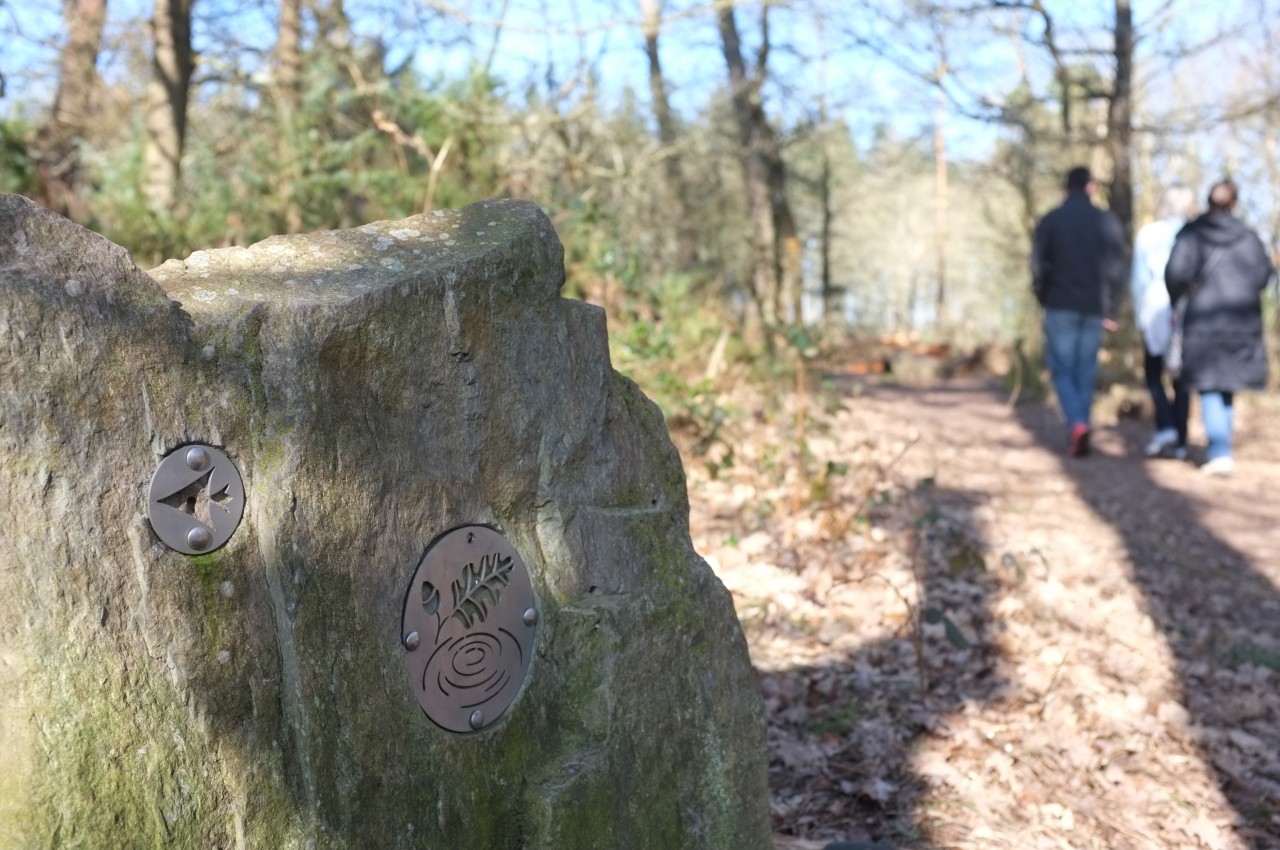 Sentiers de randonnée dans la forêt de Brocéliande