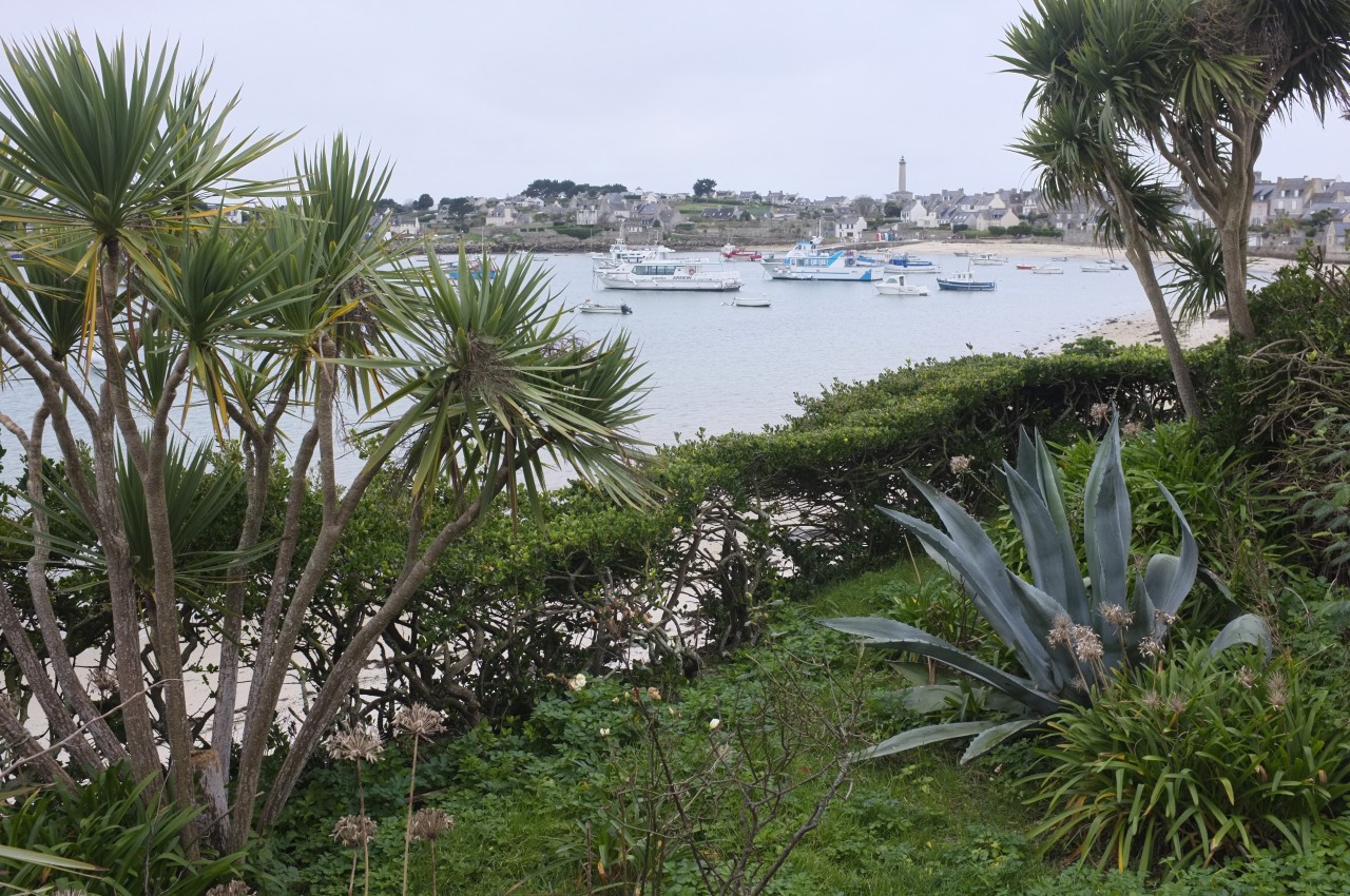 Ile de Batz (France-29) - Far away ...