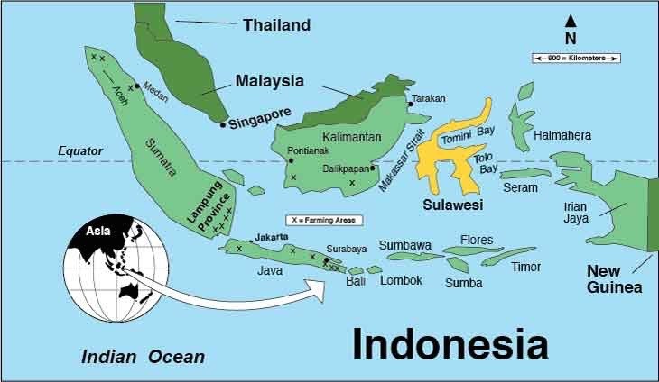 Mes 9 raisons de voyager au Sulawesi en Indonésie