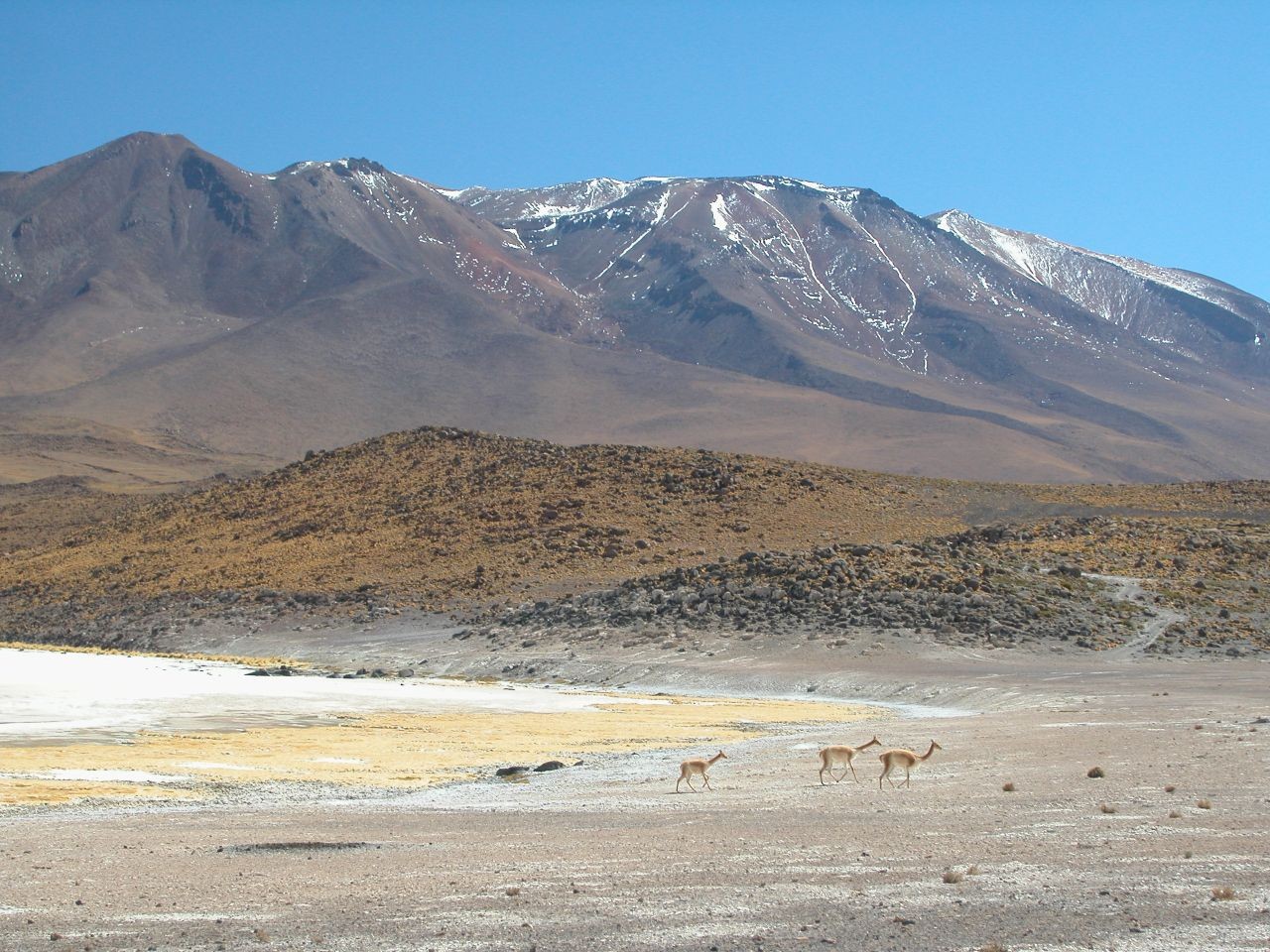 Pourquoi visiter le Sud Lipez en Bolivie ?