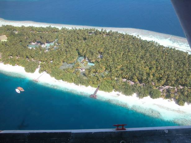 Snorkeling à Vilamendhoo aux Maldives