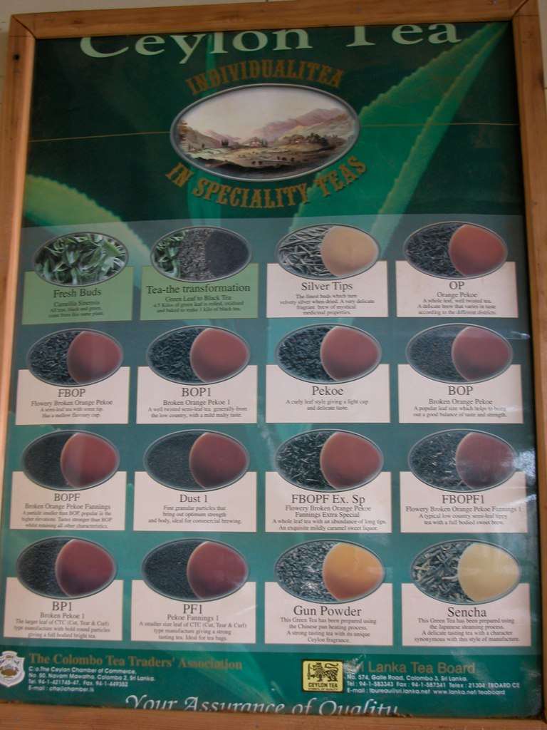 Medium 800 Medium 800